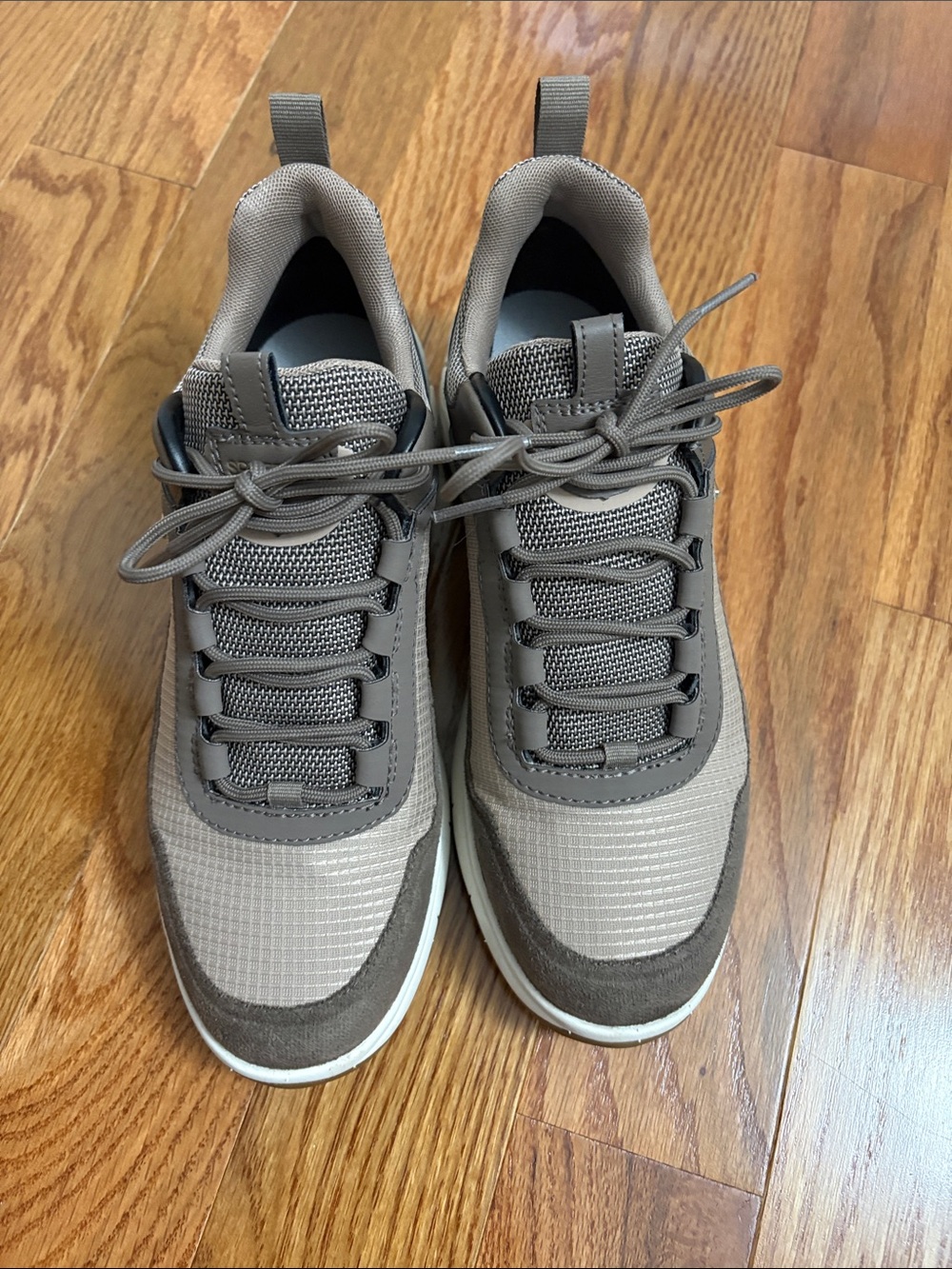 Geox Women's Sneakers in Taupe and Brown